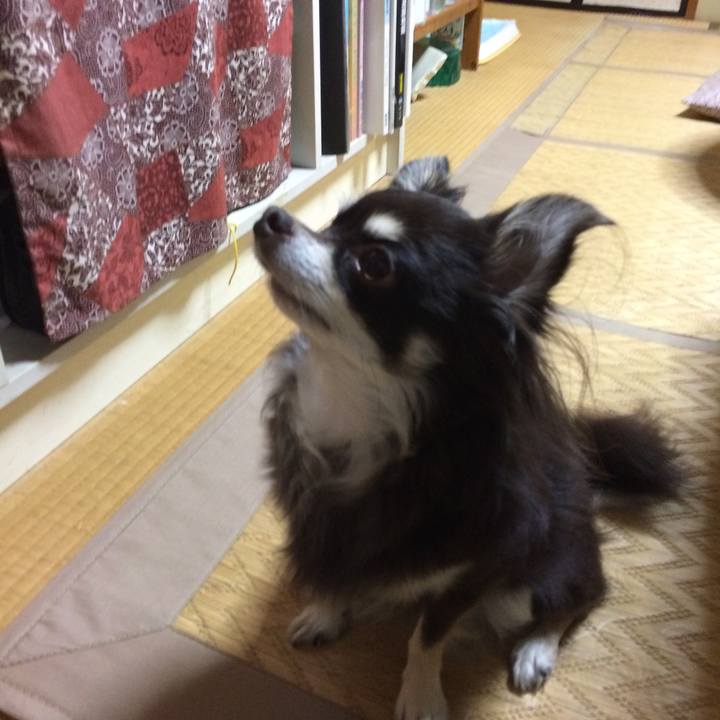 C1b13a26 efea 4cf1 995a 6d77f00f7fdb