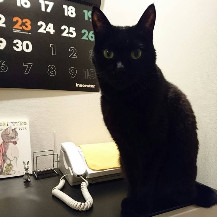 C1b16203 07b1 4756 95df 962687442cae