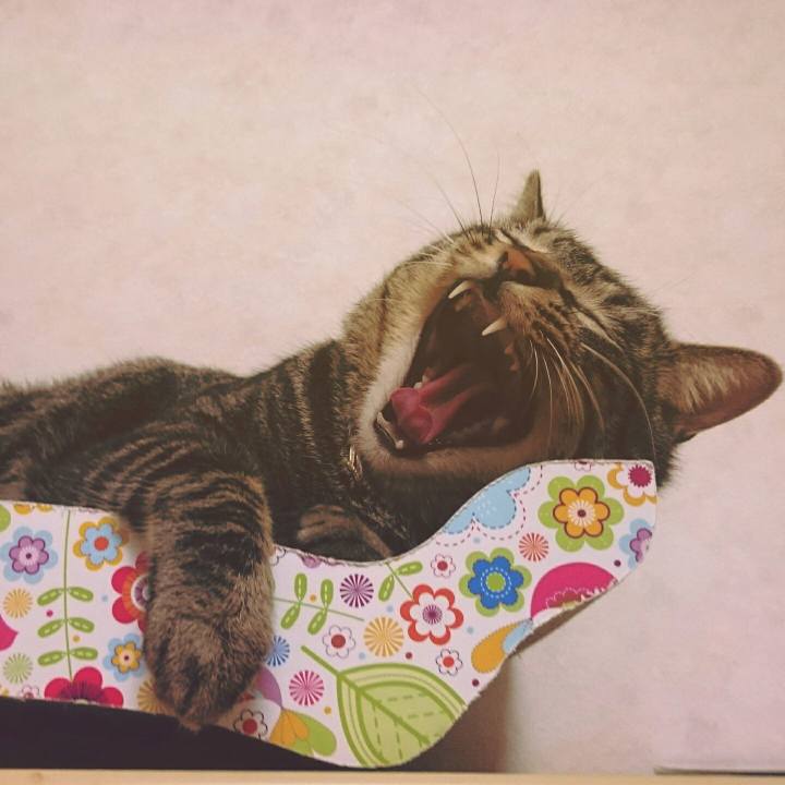 C1b274e4 9e10 422a b674 22b87af6098c