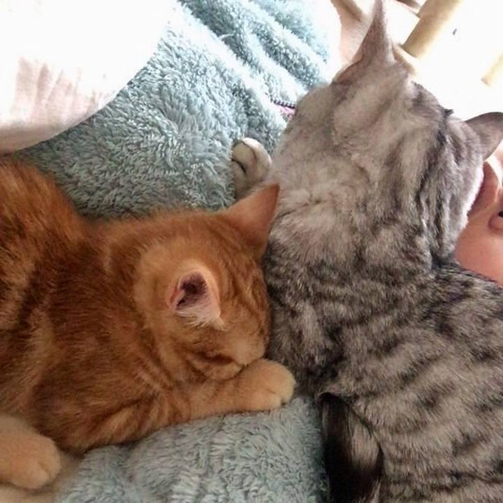 C1b2aee8 818b 4410 abfe ce942d26d1e4