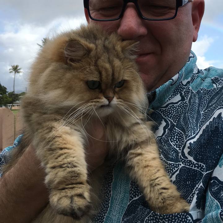 C1b39dd1 8074 473e af05 8b057d77201e