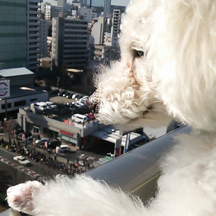 C1b4319e f98b 4f37 a336 3bb3ab8ea759