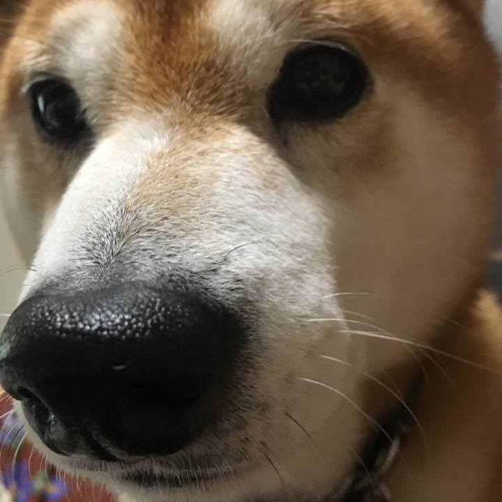 C1b48207 1344 4d0e 863c b873ac4c692c