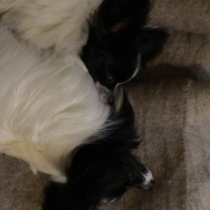 C1b569e6 2a7e 4aeb bbc6 4d3c62fdb598