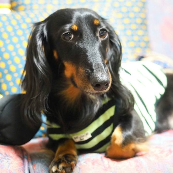 C1b58422 fb8e 4b07 8dd7 b3a508fcfffb