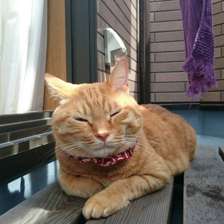 C1b63ab2 e1cc 47e7 aeaf b8c4d7696ec4