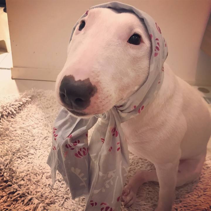 C1b6590d dca5 49b3 a937 7cea33ec3fd1