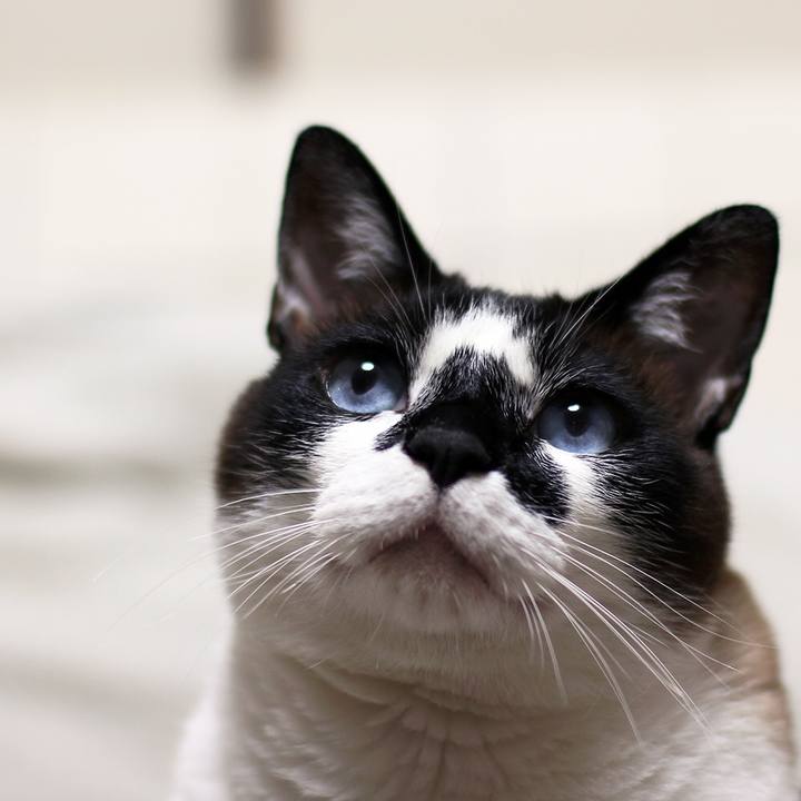 C1b6a178 8a43 4ff4 b694 99e286977f2d