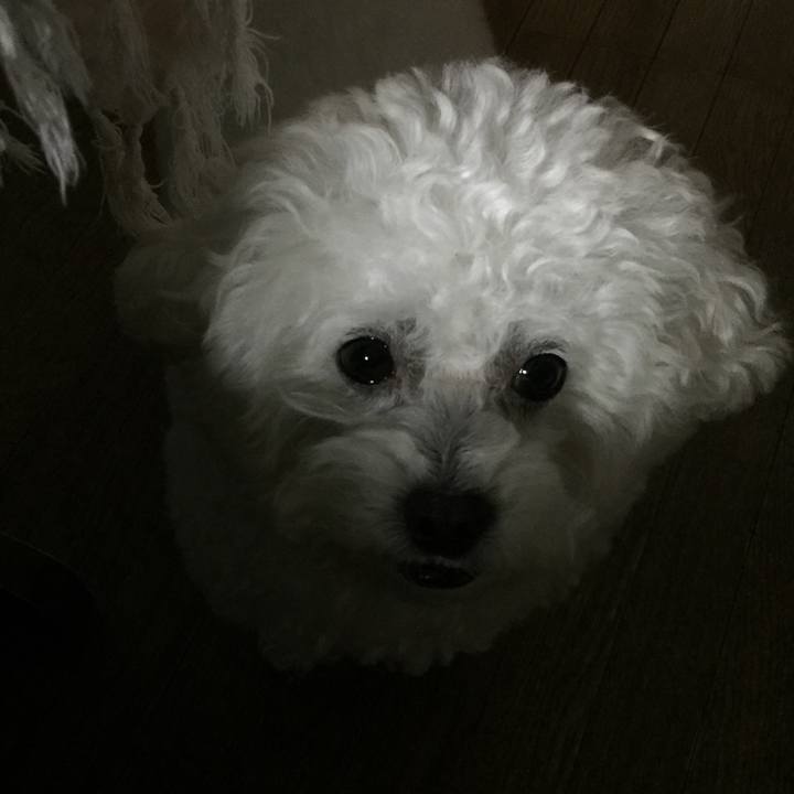 C1b6ba6b 5c69 4f34 b78f bf6aea42f96e