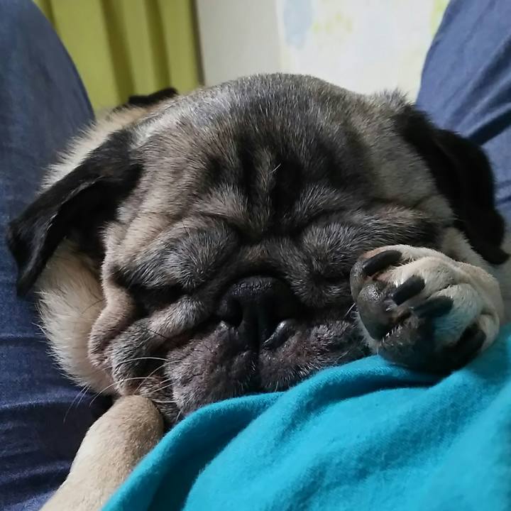 C1b76077 5423 4aa2 ae80 89b9668a2c4b