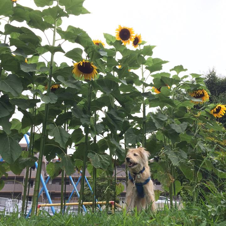 C1b763e4 4ee3 4635 b065 c85b66332520