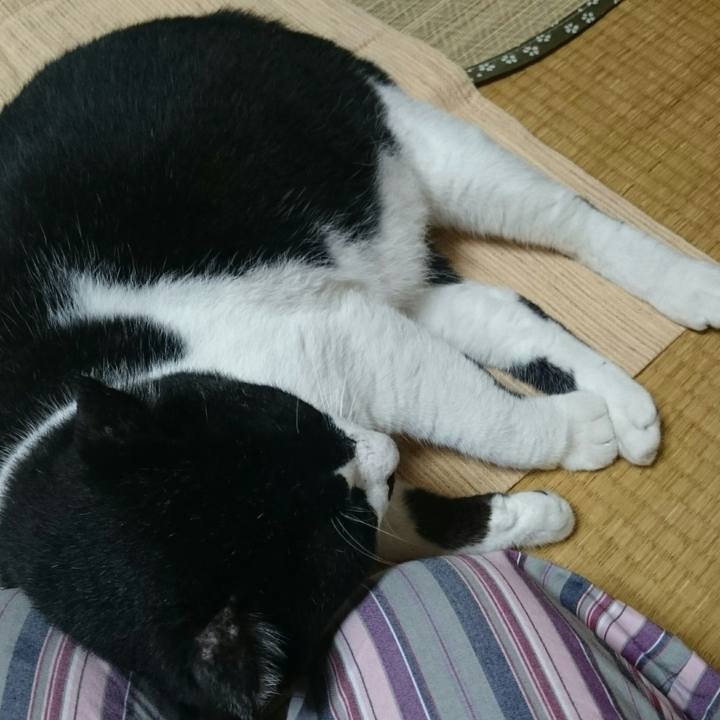 C1b79980 1466 4f57 bed6 d22fcb1dd4a1