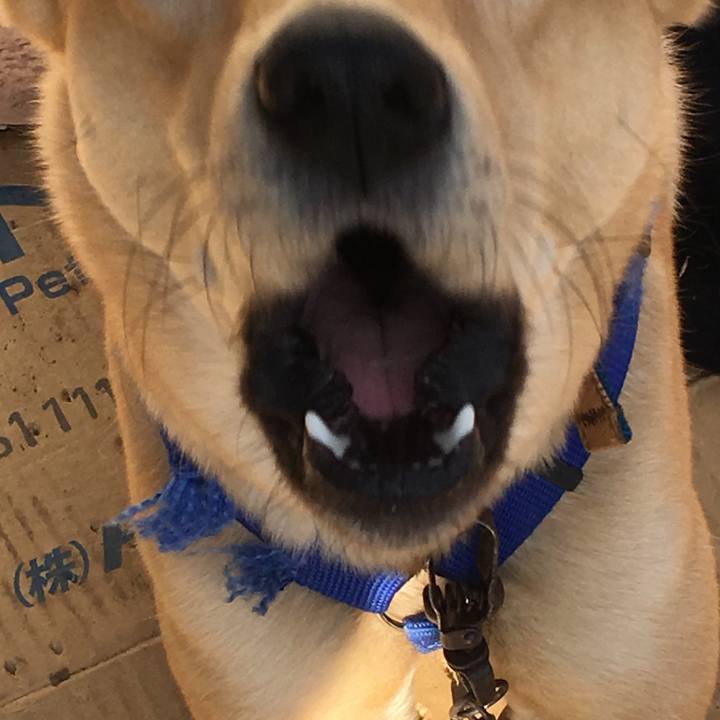 C1b7a554 87f0 4881 bda2 b45fcbf1c354