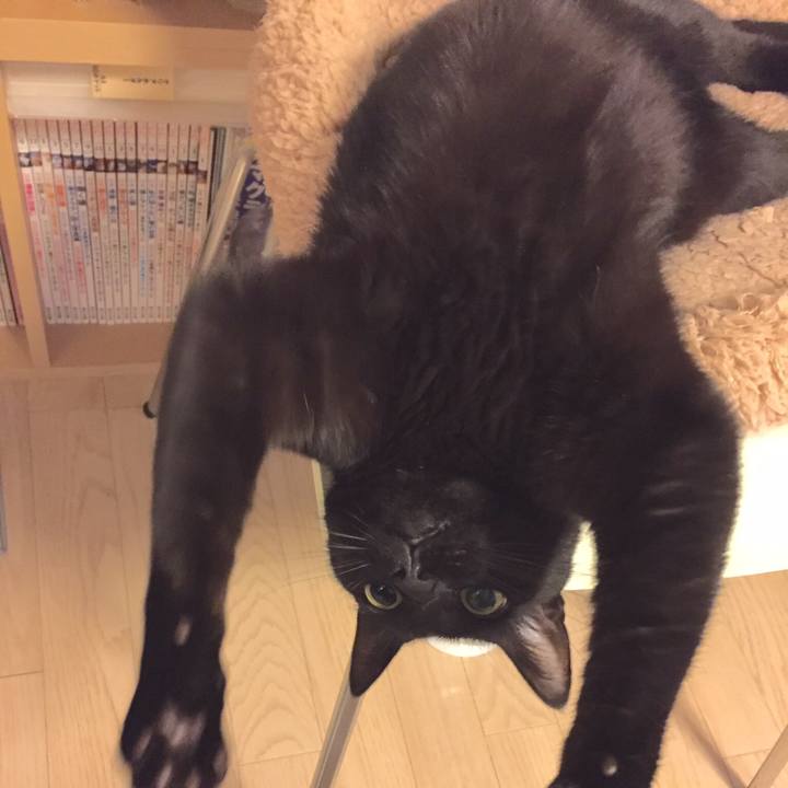 C1b7dbf1 de56 4793 b3a1 51ddc84d4721