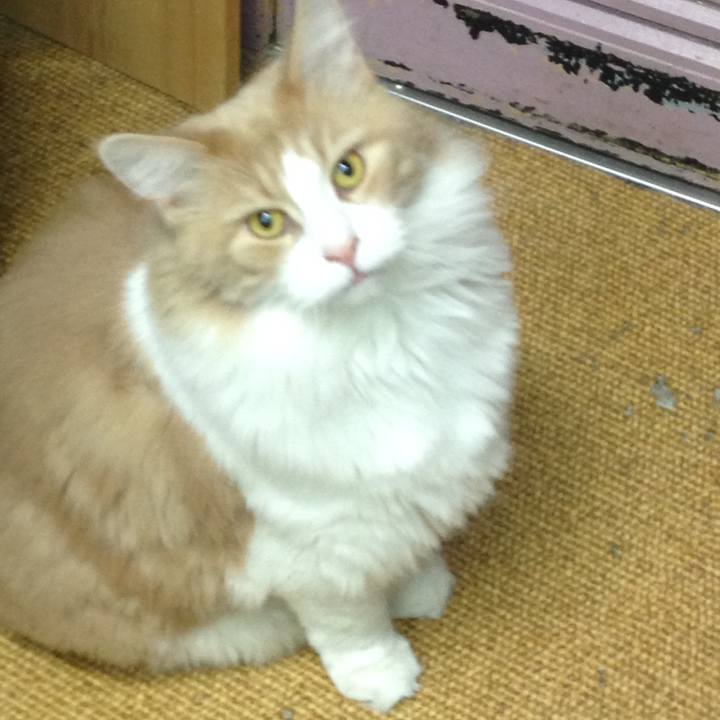 C1b7f844 2302 4493 a11f e10a5f926eb4