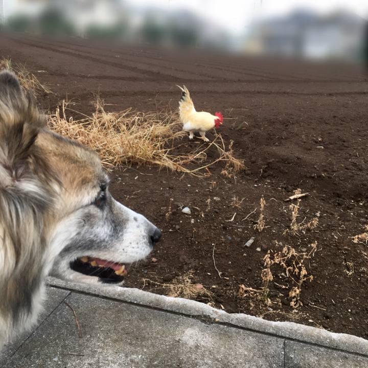 C1b9f158 7517 4bc9 88bc a32770cd1f3f