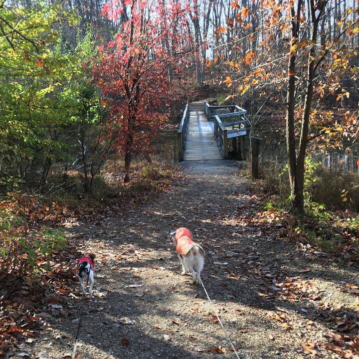 C1ba0903 8022 4859 9d87 ec34a862f0d8