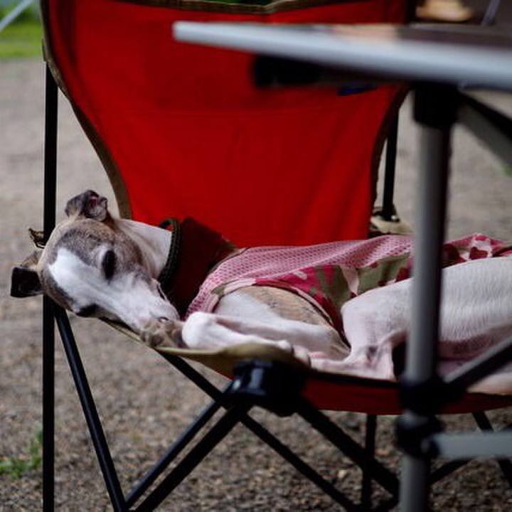 C1baaf81 43ad 4c8f a19d 5f9432fd42ee