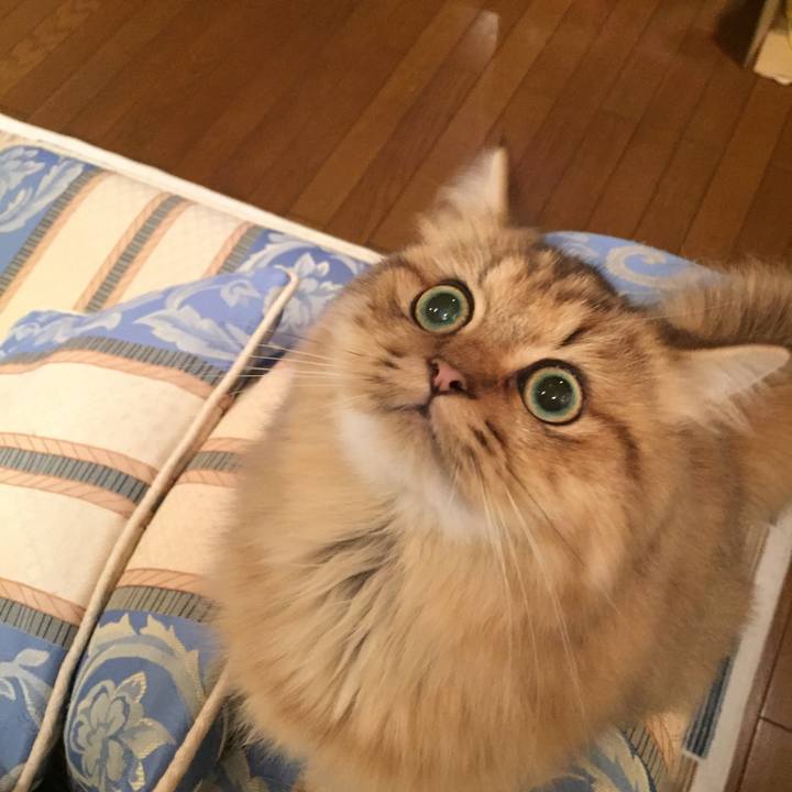 C1baf795 4660 4369 8d27 8329a7c25e6c