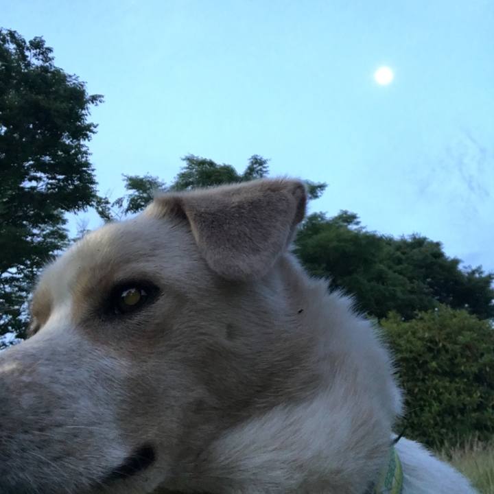 C1bb29c9 e216 4cfd 904f 6e3d326c7ad5