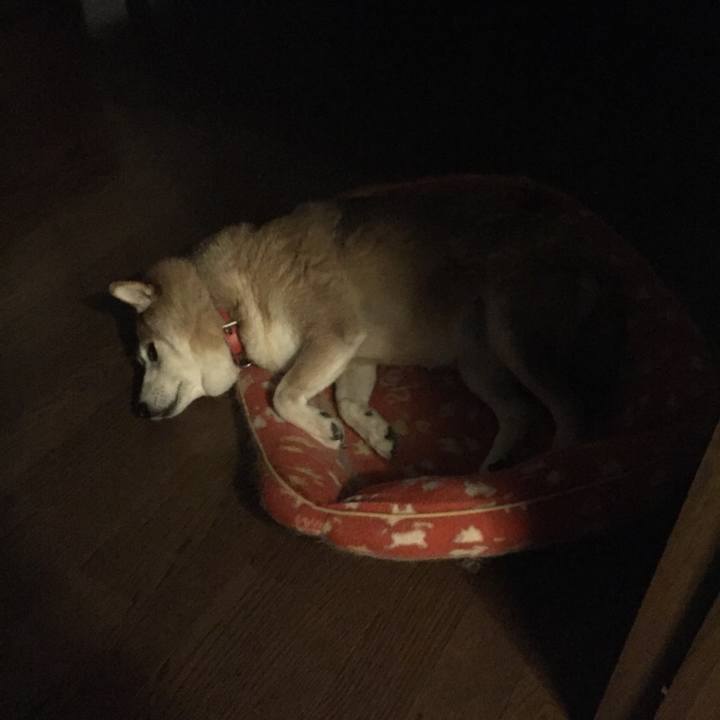 C1bbad9d f62b 43e2 9694 b0354ab0f46c