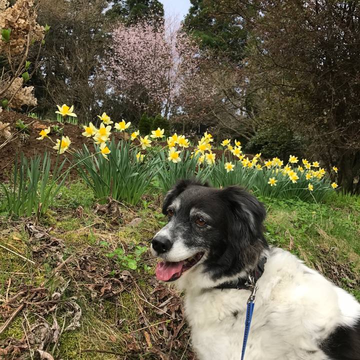 C1bbc84a daae 470b b598 385801574cde