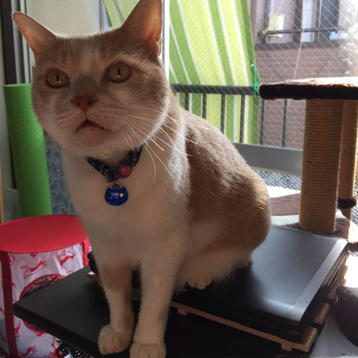 C1bc3792 d518 4de2 9cbe 78c0e5a32b58