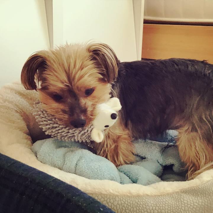 C1bc6759 5e1e 479f a788 a1cb40743551