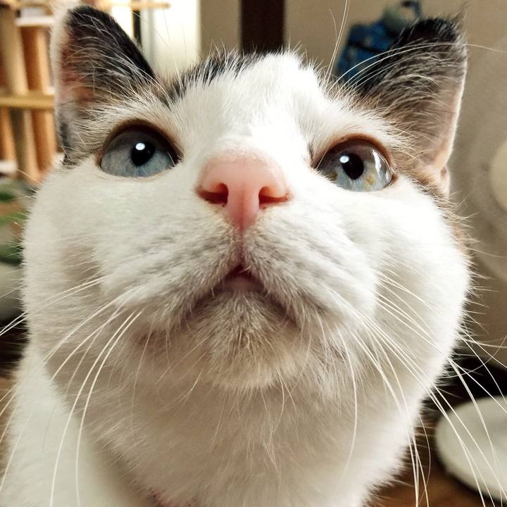 C1bcc6da 2fcf 4dee 8845 8035b7b40a40