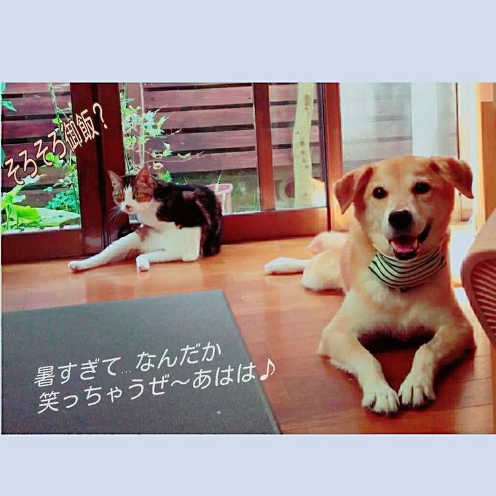 C1bd1297 faa9 4184 9d4f 6d4a8751447c