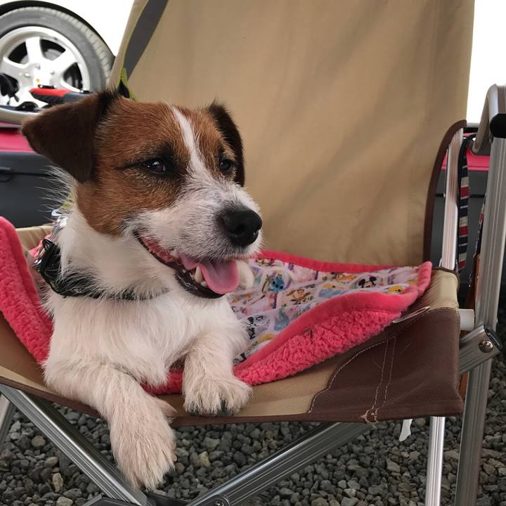 C1bdb947 c74d 4ac3 a779 55d49073256b