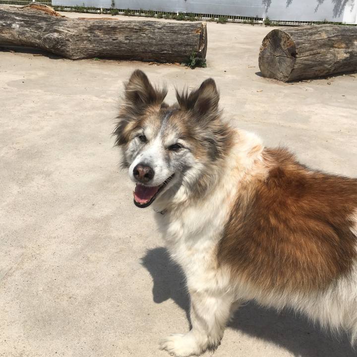 C1be4285 c443 4e2d aa21 918685f9b085