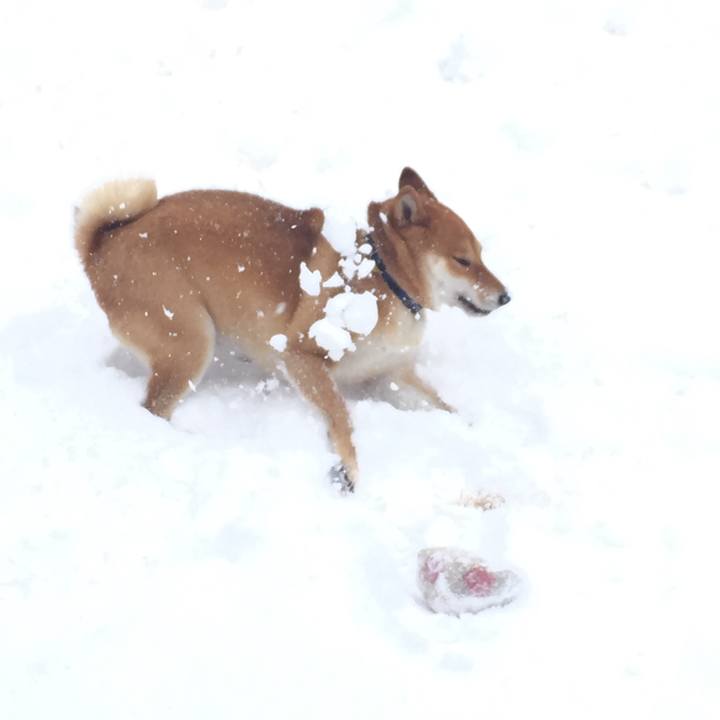 C1bf06a5 9cbc 49a4 915f f754b7b33289