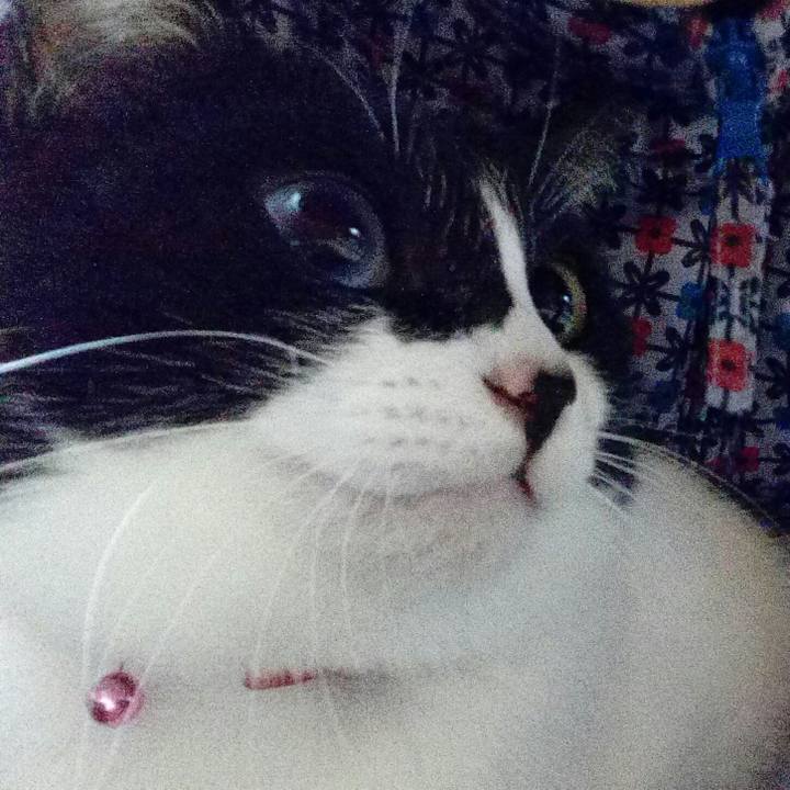 C1bf5ea2 adab 42fb bc89 41a57faee5e8