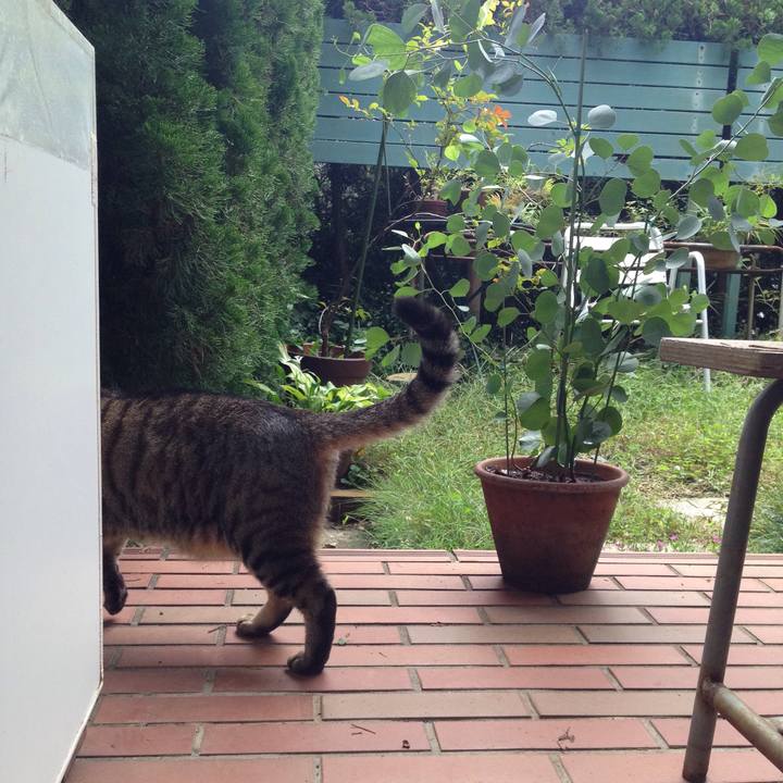 C1bfa3b0 a958 4bc5 b6bb 5457d3d51610