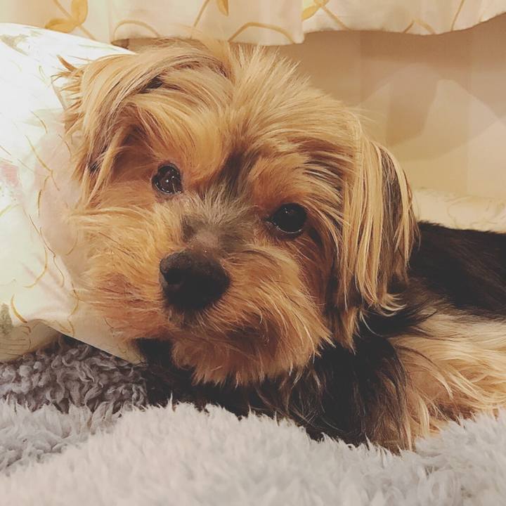 C1c02887 00b8 4dd6 b061 55cc33fcbdc3