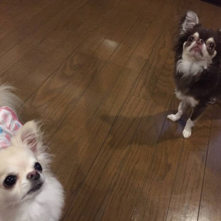 C1c0ac43 4969 4346 8f1e c82785f961ec