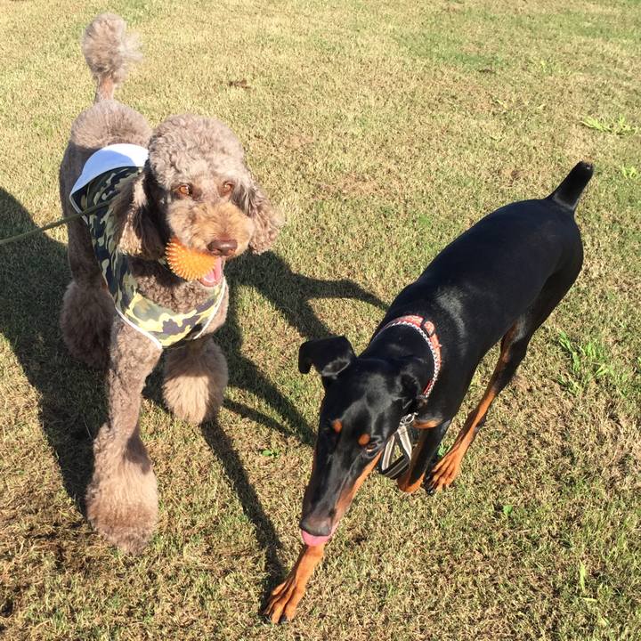 C1c15186 356c 4252 b5dc 6f8a615c9177