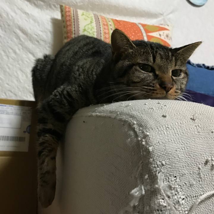 C1c22f83 b5d2 4f22 afdf 152bf8b4d980