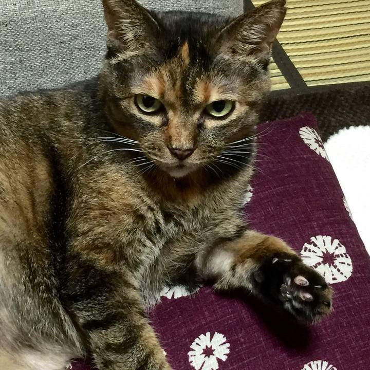 C1c2343b dc08 4cb0 9a20 f0fd664fa43f