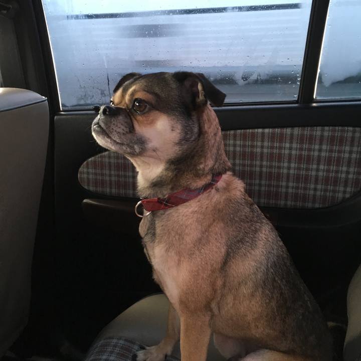 C1c2581d 0f87 4406 9beb 5abe7bd75fe4