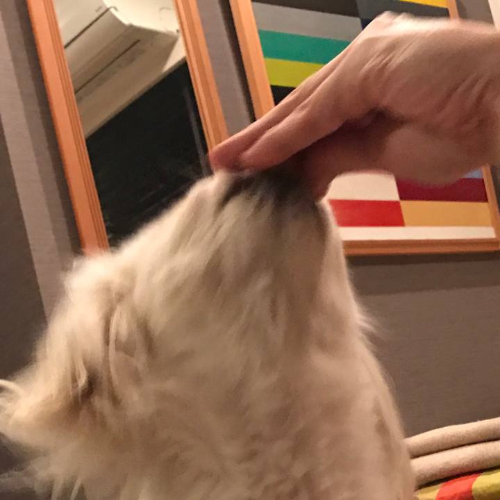 C1c25fcf 35ed 4d90 b1a5 1a6485442770