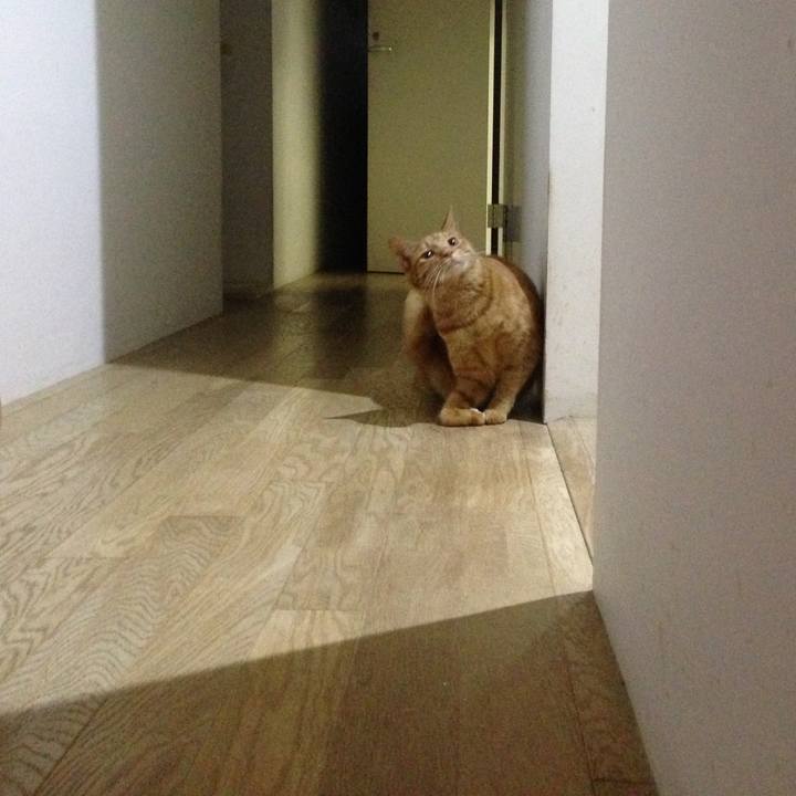 C1c27805 ee9c 464b 8893 fa793818853c