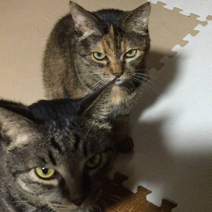 C1c287c9 8e2e 4203 a18f 1e2ddc8116d0