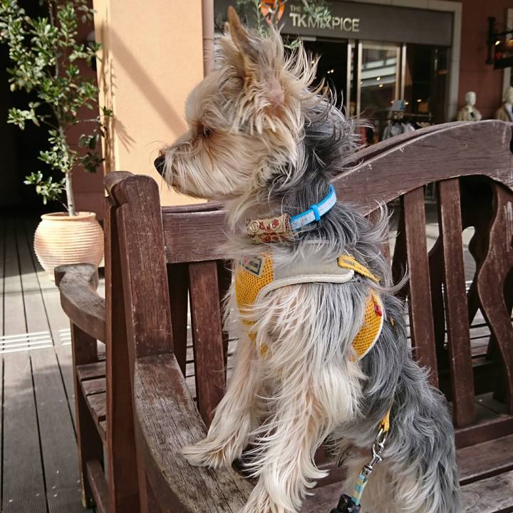 C1c2c5e2 d5b8 4566 aafb ec2ffb6bc0d1