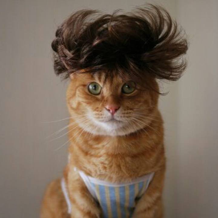 C1c3653d b76b 47c6 af74 577fa5df29c4