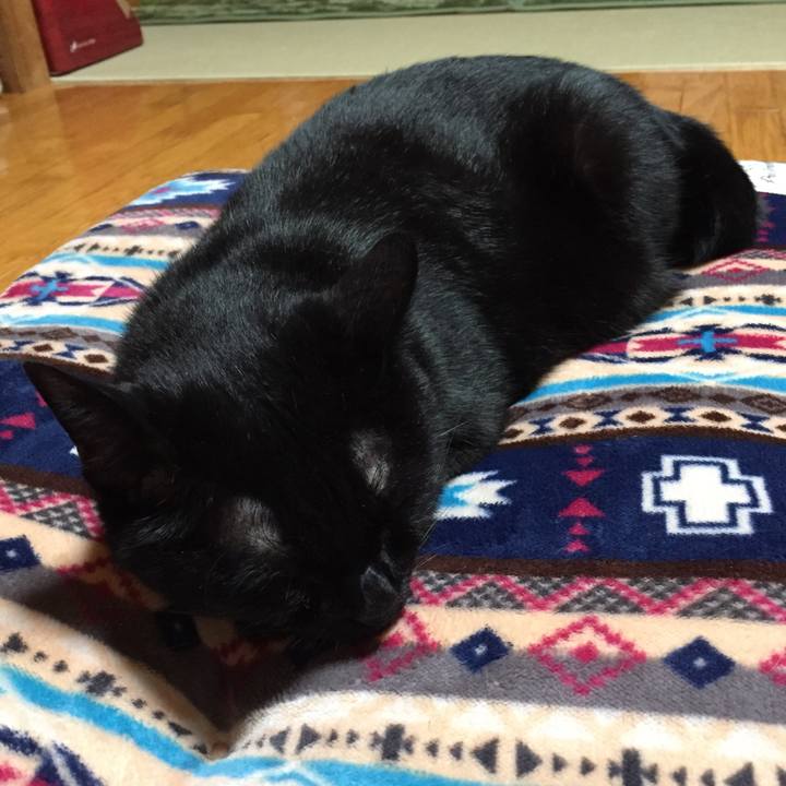 C1c3938c c5e5 413f 92d2 9dee475f333f