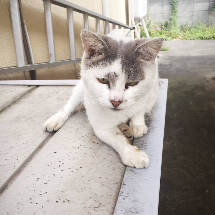 C1c403d6 13a7 4188 849c 866d3c8802b7