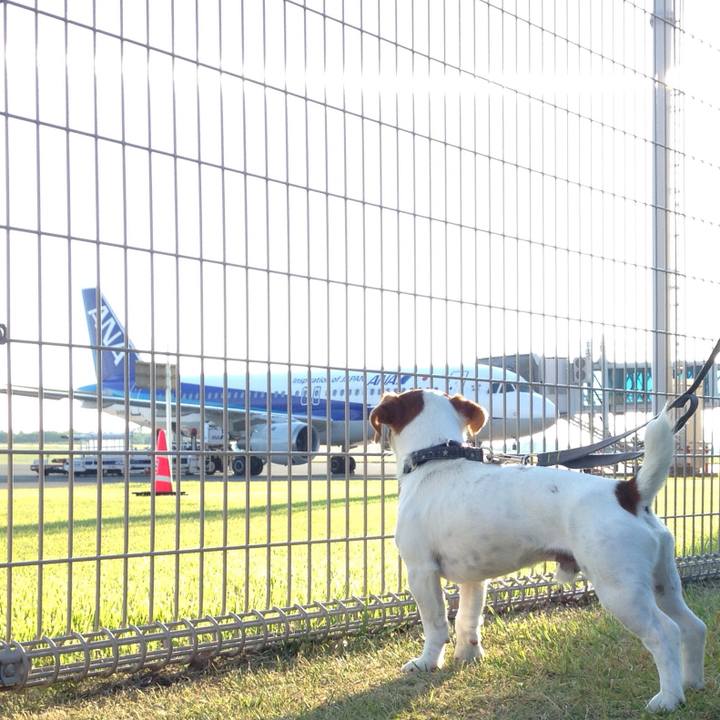 C1c4593f e6c1 4db5 b863 b9e0c8fdbe3b