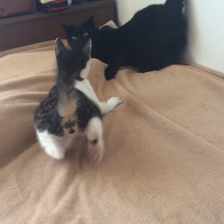 C1c50e7e ff42 462d 8d28 cb8b29666b83